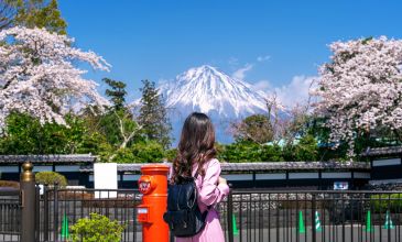 Dolu Dolu Japonya & Kore Turu Mistik Rotalar (Seul - Tokyo)