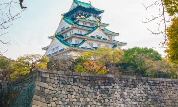 Ncl Jade ile Sonbahar Kiraz Çiçekleri Koyo Zamanı - Vizesiz Uzakdoğu İncileri Japonya & Güney Kore